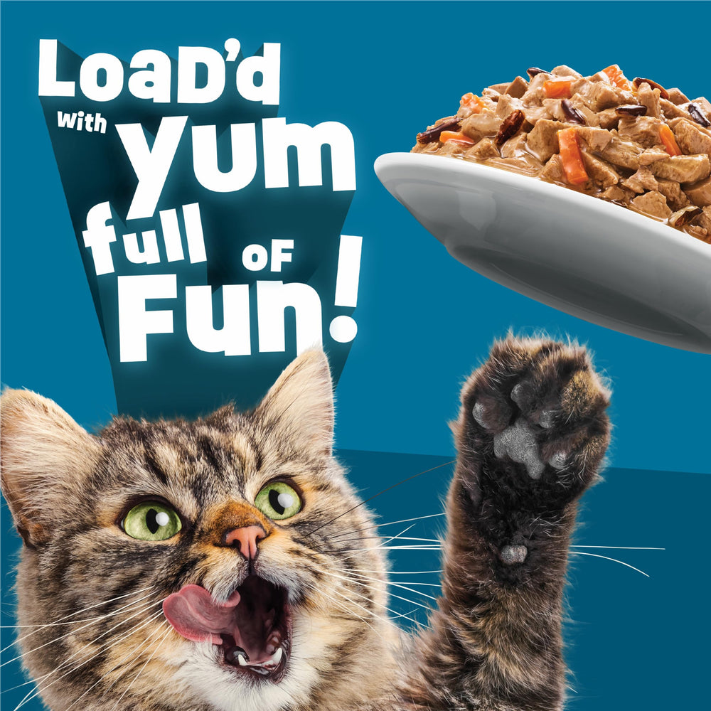 Friskies Fully Load’d lata abierta en cuenco, presentación atractiva para la hora de comer.