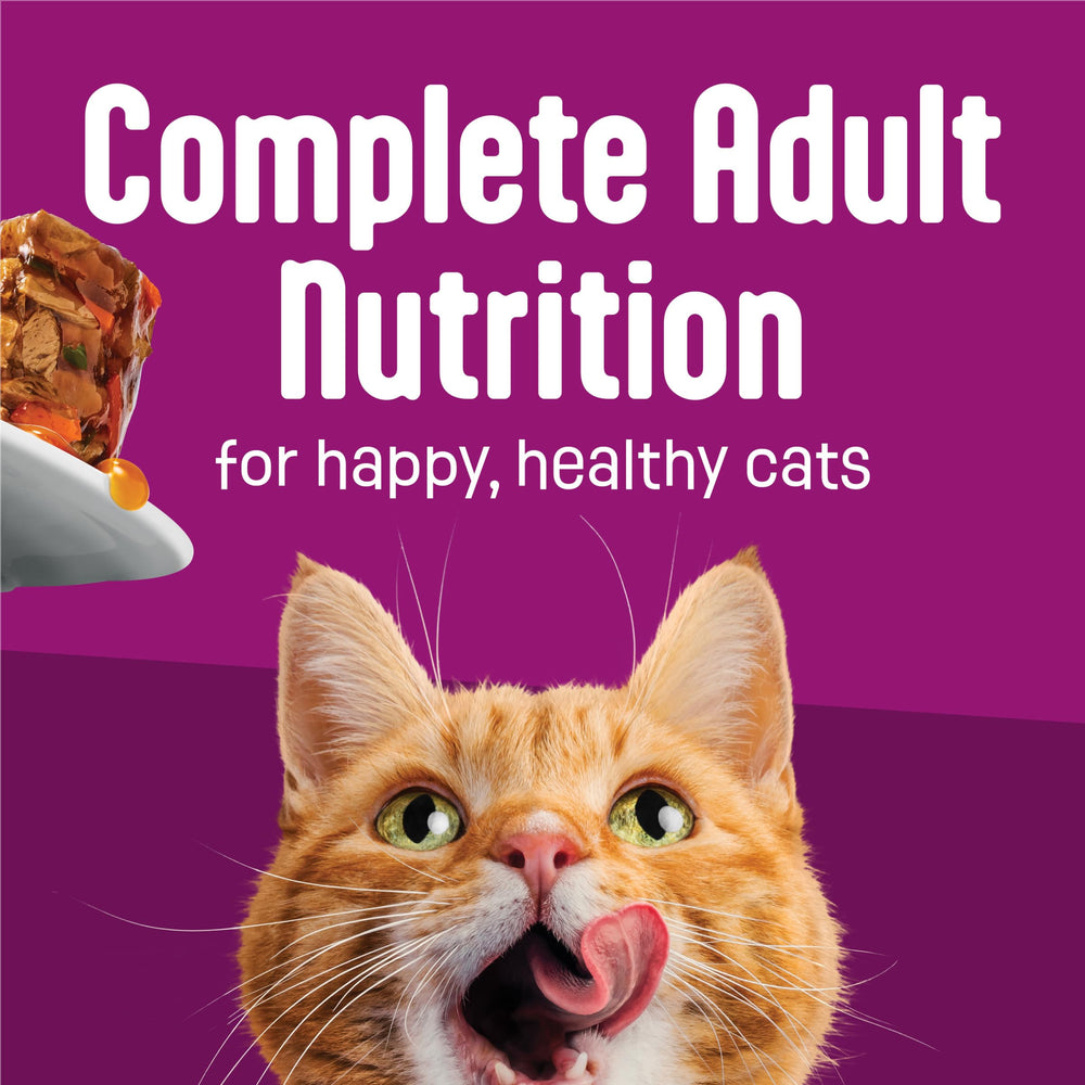 Friskies Glaz’d e Infuz’d, nutrición 100% balanceada para gatos adultos.