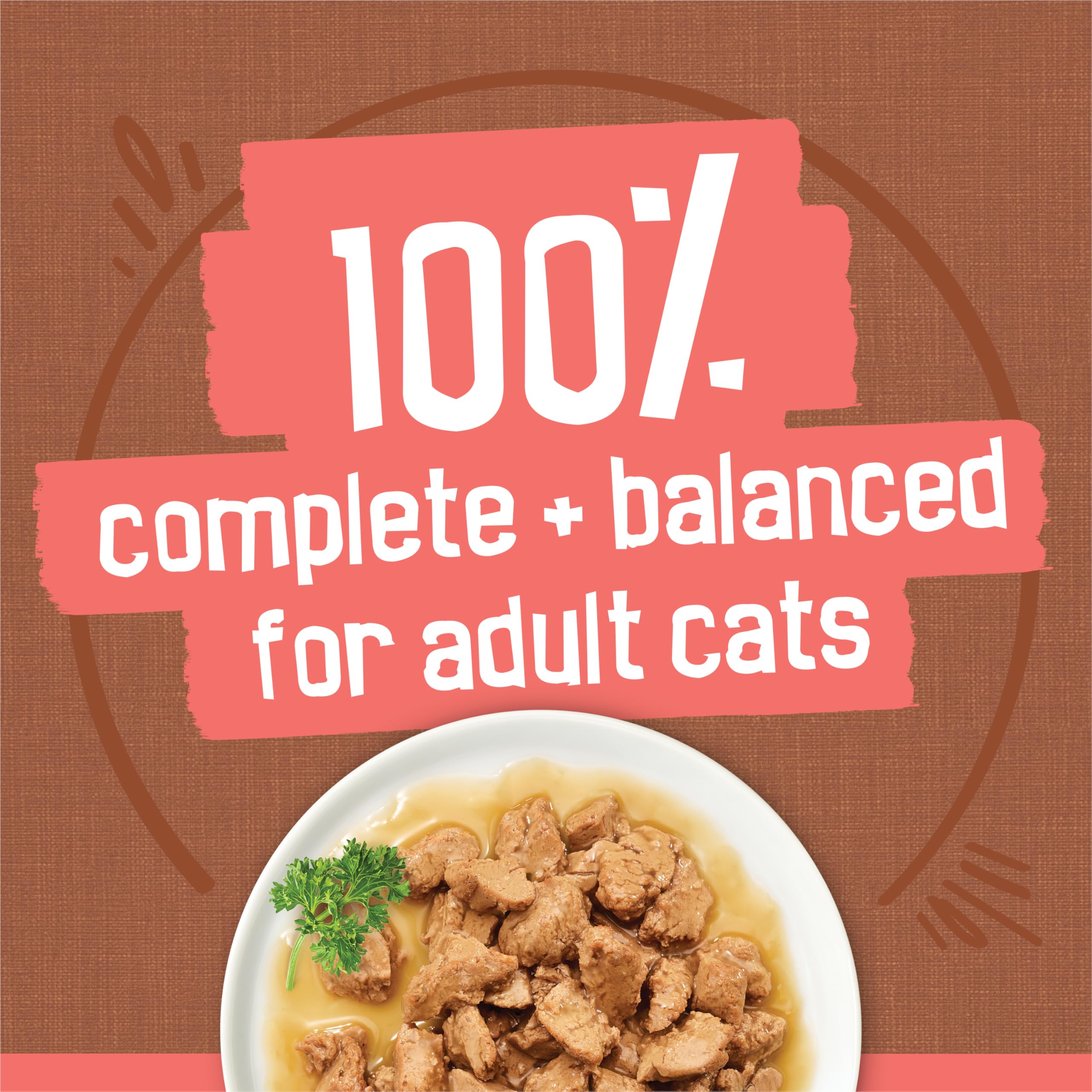 Friskies con jugo extra – paquete de 24 latas para variedad