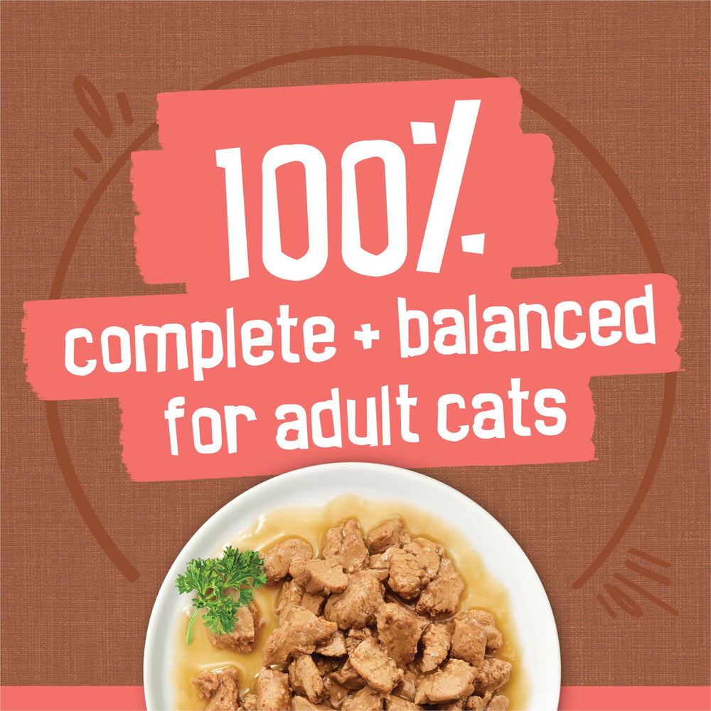 Friskies con jugo extra – paquete de 24 latas para variedad
