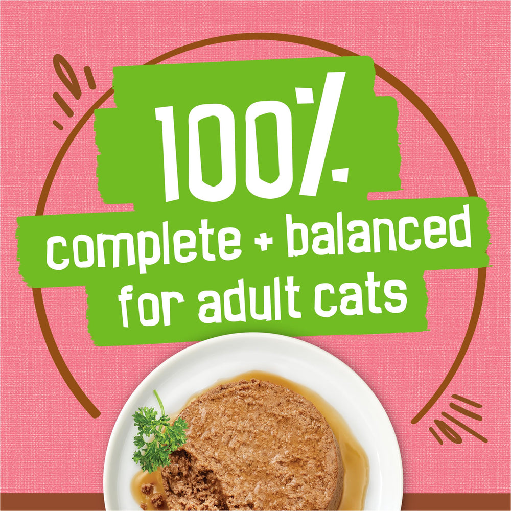 Friskies salmón con salsa extra: aroma sabroso que invita a comer.