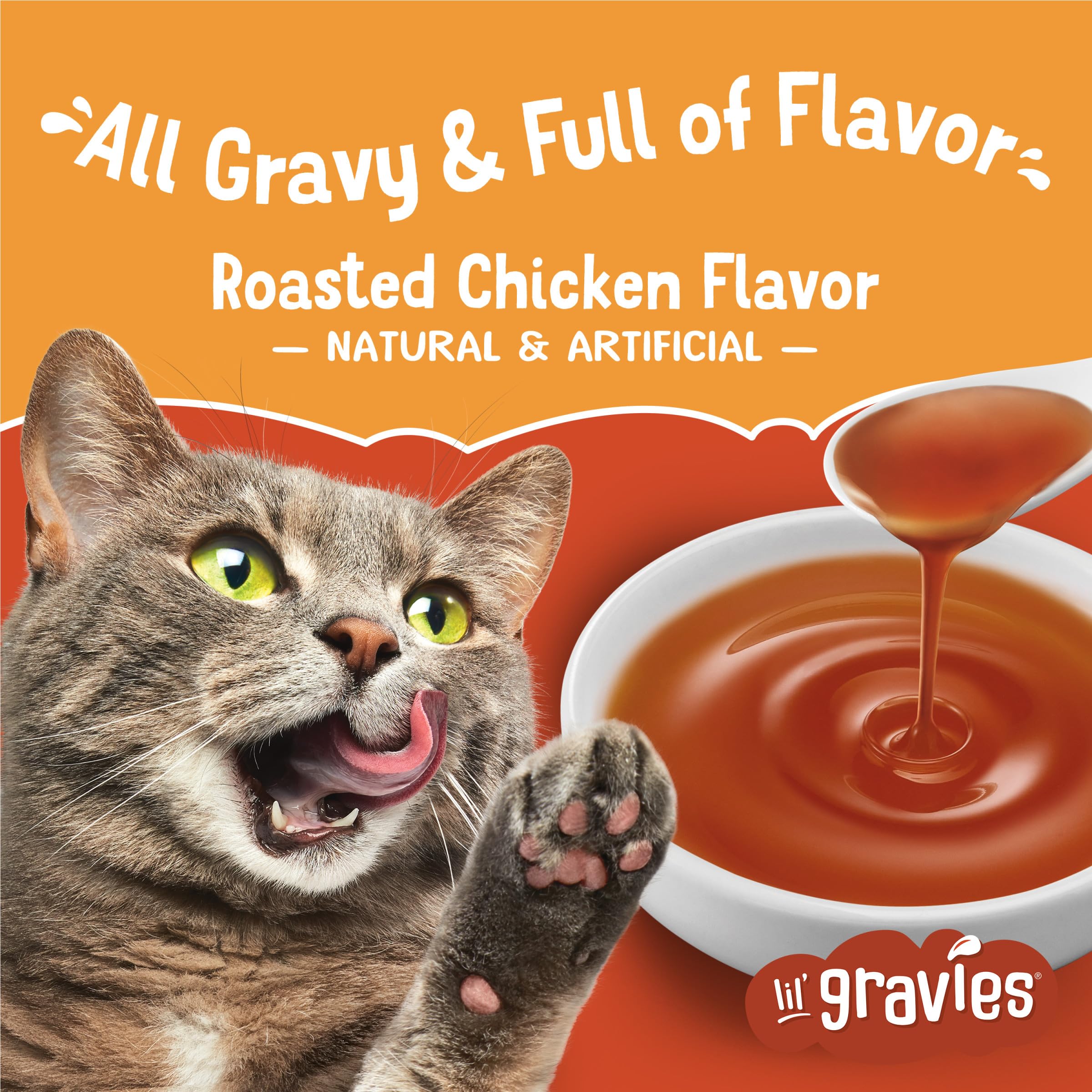 Gato disfruta Friskies Lil’ Gravies sobre comida seca