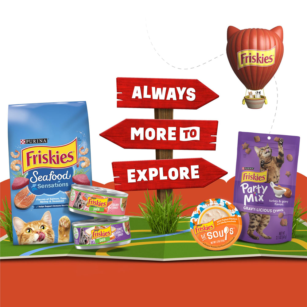 Friskies Lil' Gravies Saumon – portion pratique pour un encas.