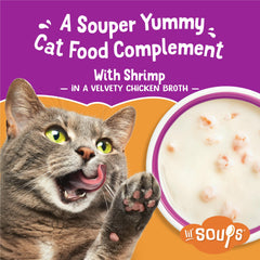 Caldito aterciopelado de Friskies Lil’ Sopas brinda sabor y humedad.