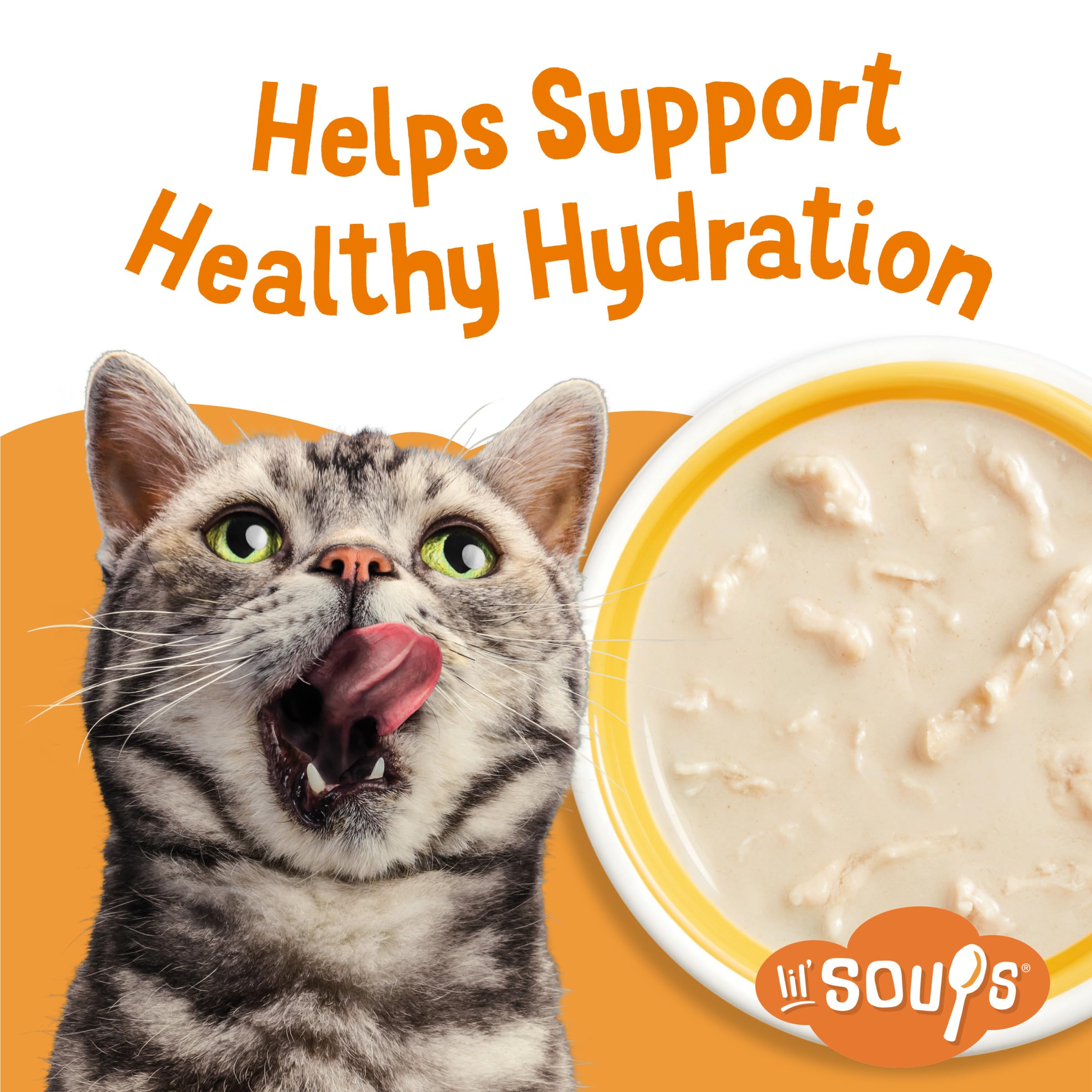 Friskies Lil' Soups envase individual, servicio limpio y sin desorden