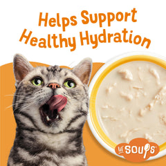 Friskies Lil' Soups envase individual, servicio limpio y sin desorden