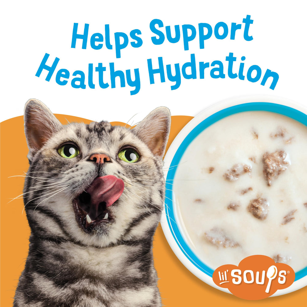 Friskies Lil’ Soups textura cremosa de caldo para gatos