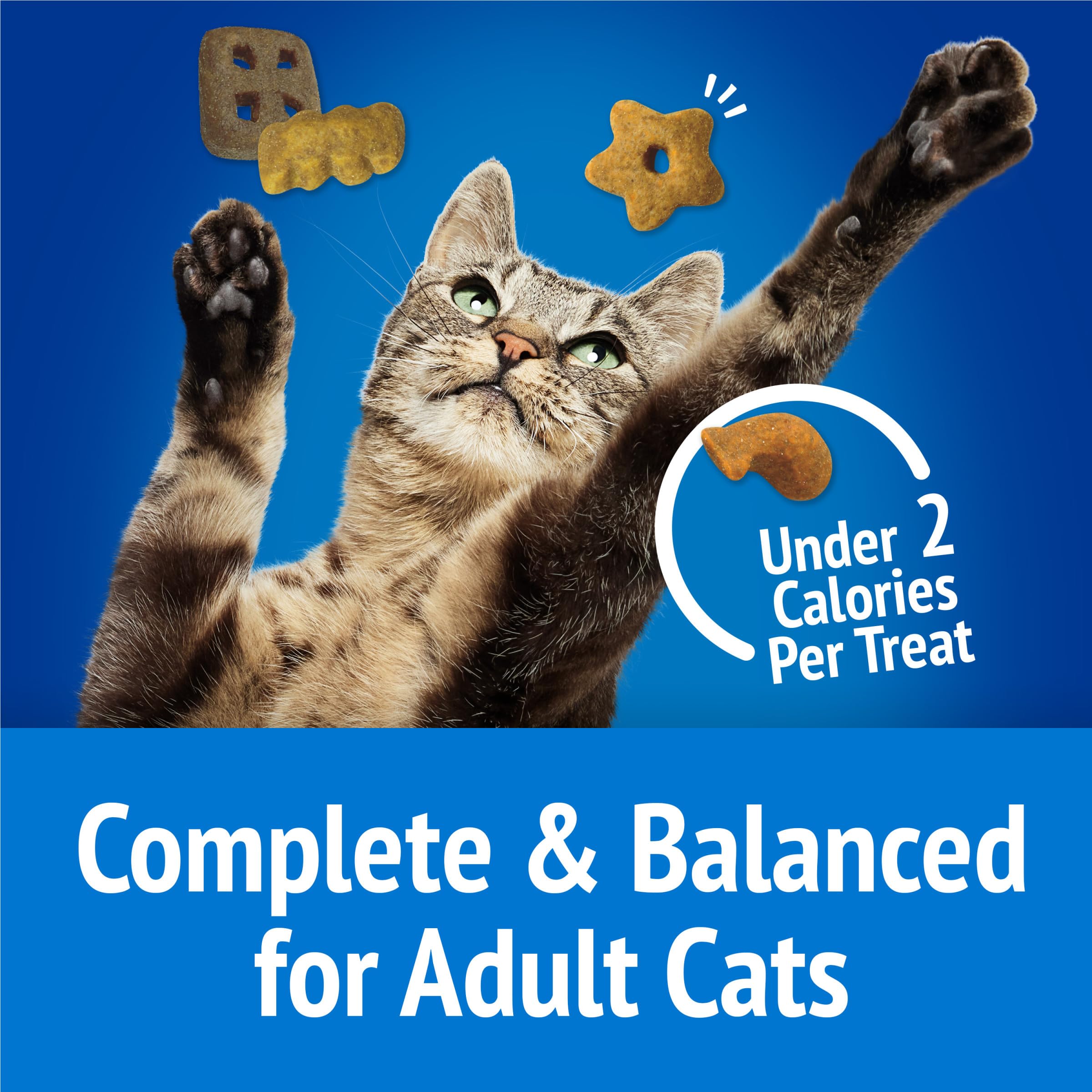 Gato jugando con las piezas crujientes Friskies Beachside Crunch.