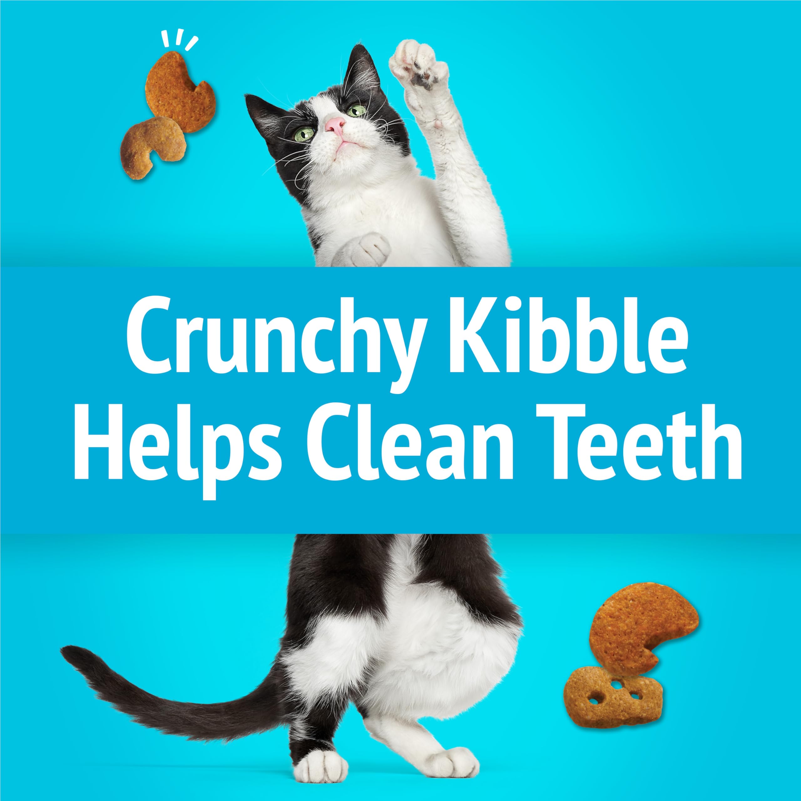 Friskies Party Mix: bolsas individuales de 6 oz para porciones.