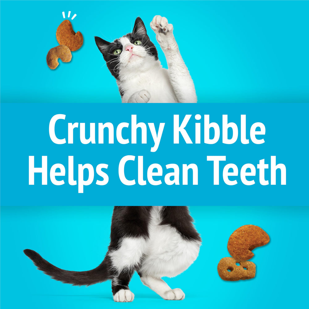 Friskies Party Mix: bolsas individuales de 6 oz para porciones.