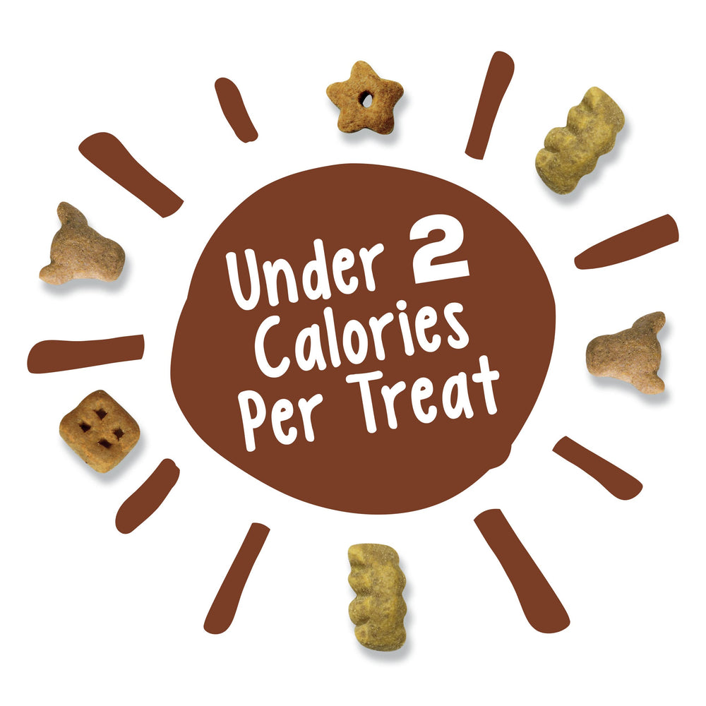Friskies Party Mix Crunch Picnic: sabor variado para momentos de descanso y juego.