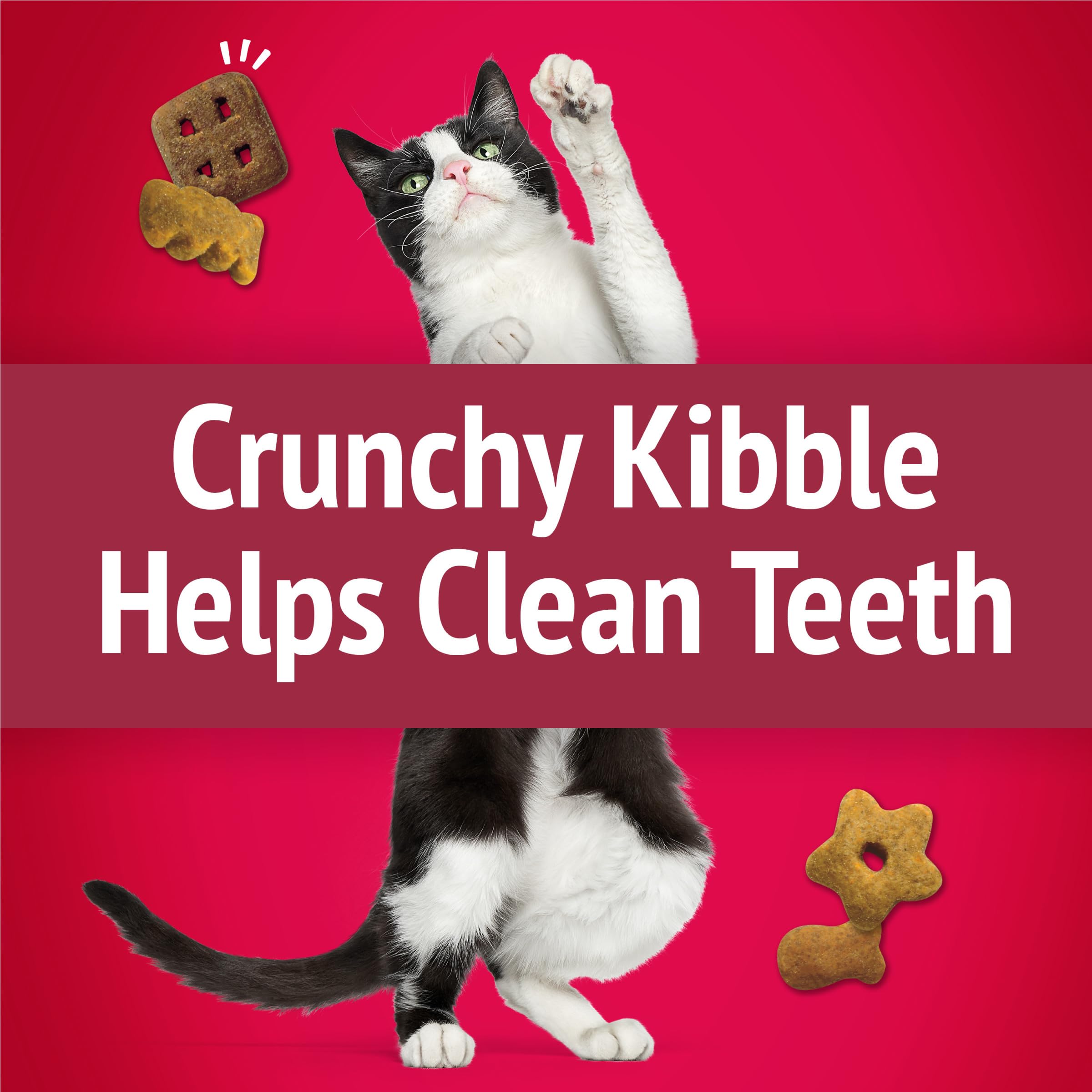 Friskies Party Mix Formas Divertidas para snack diario del felino.