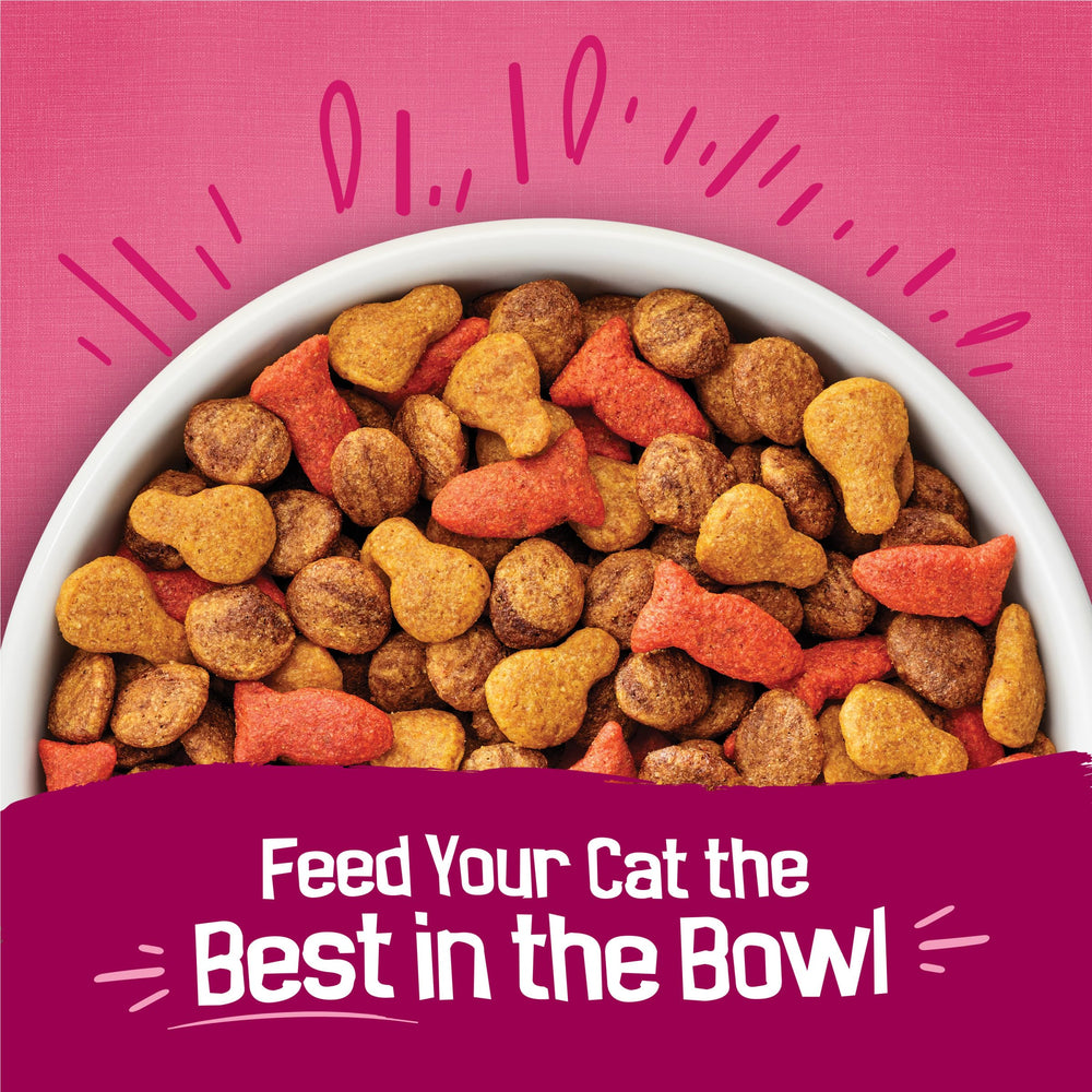 Friskies sabor pollo y salmón en cada bocado