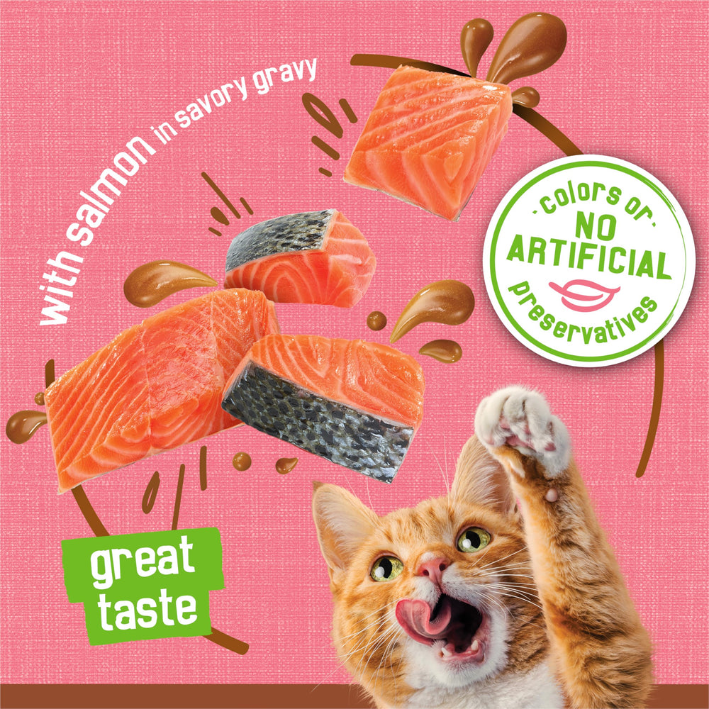 Friskies paté salmón: textura sedosa para comer con más facilidad.