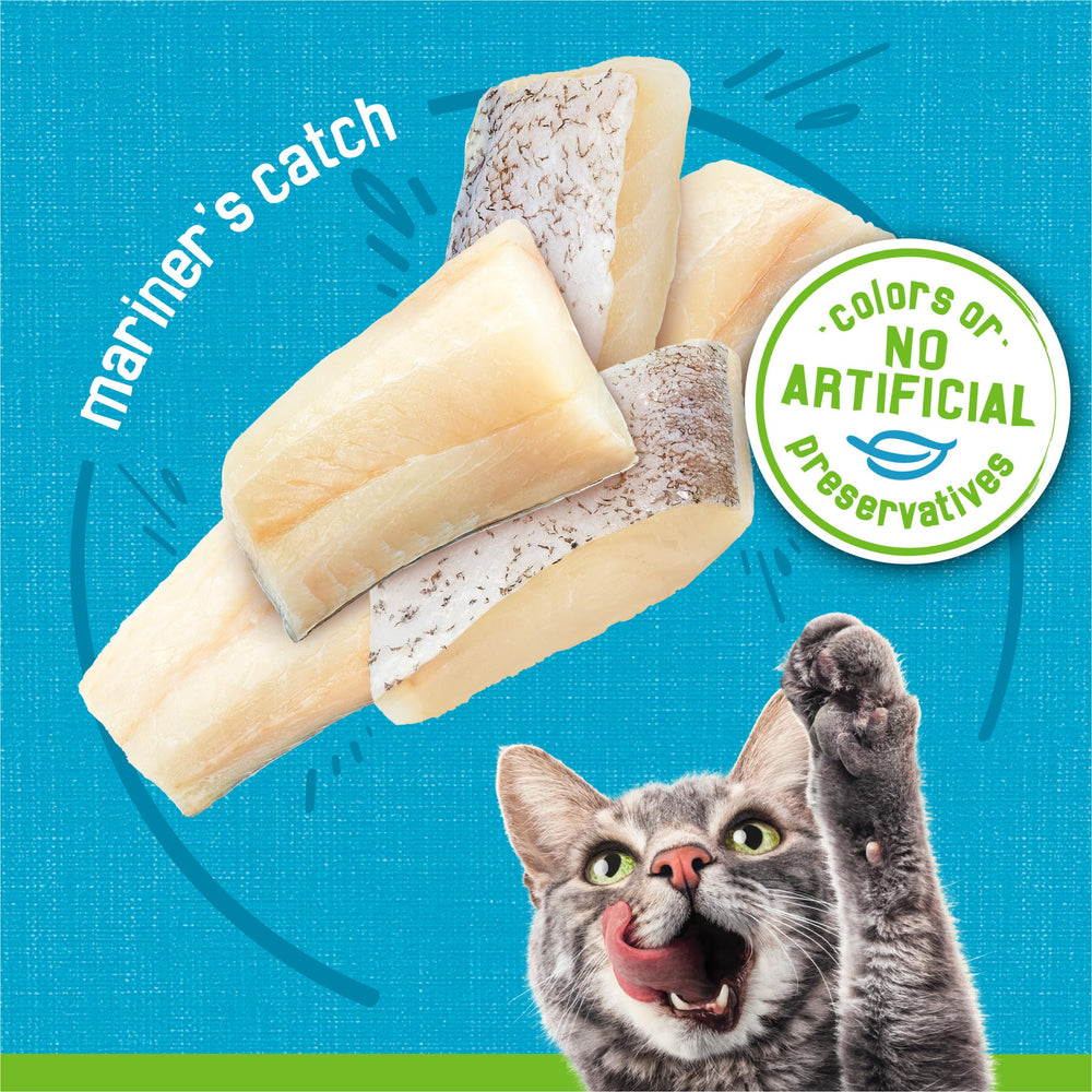 Friskies Textura Pate Suave facilita comer a gatos con dientes sensibles