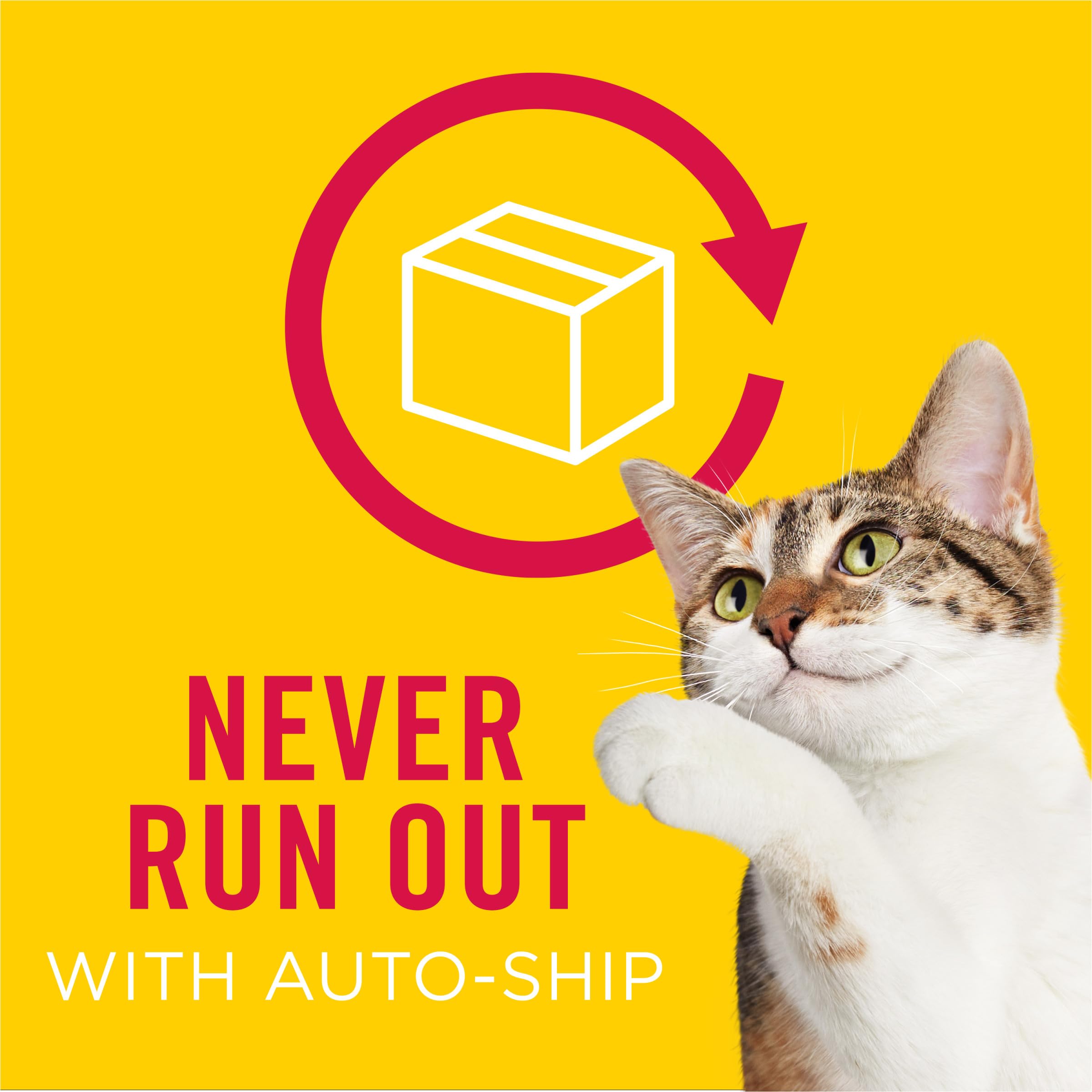 Friskies Variedad para todas las etapas de vida de tu gato