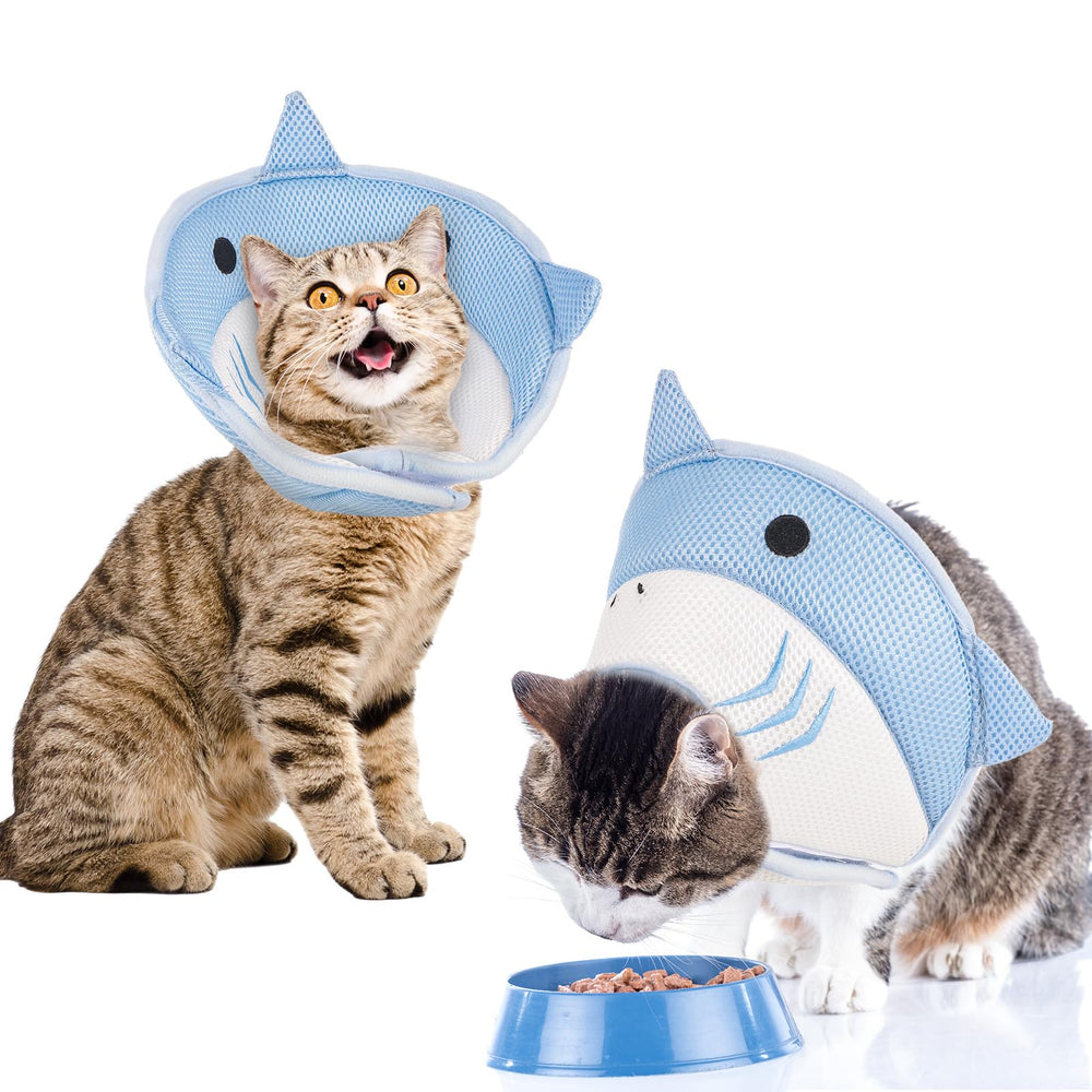 FRIUSATE collar de recuperación para gatos, ajuste visible, cómodo y ajustable para buen soporte.