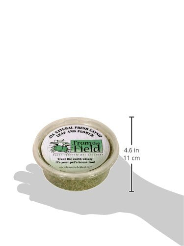 From The Field catnip aroma intenso para juguetes y curiosidad felina