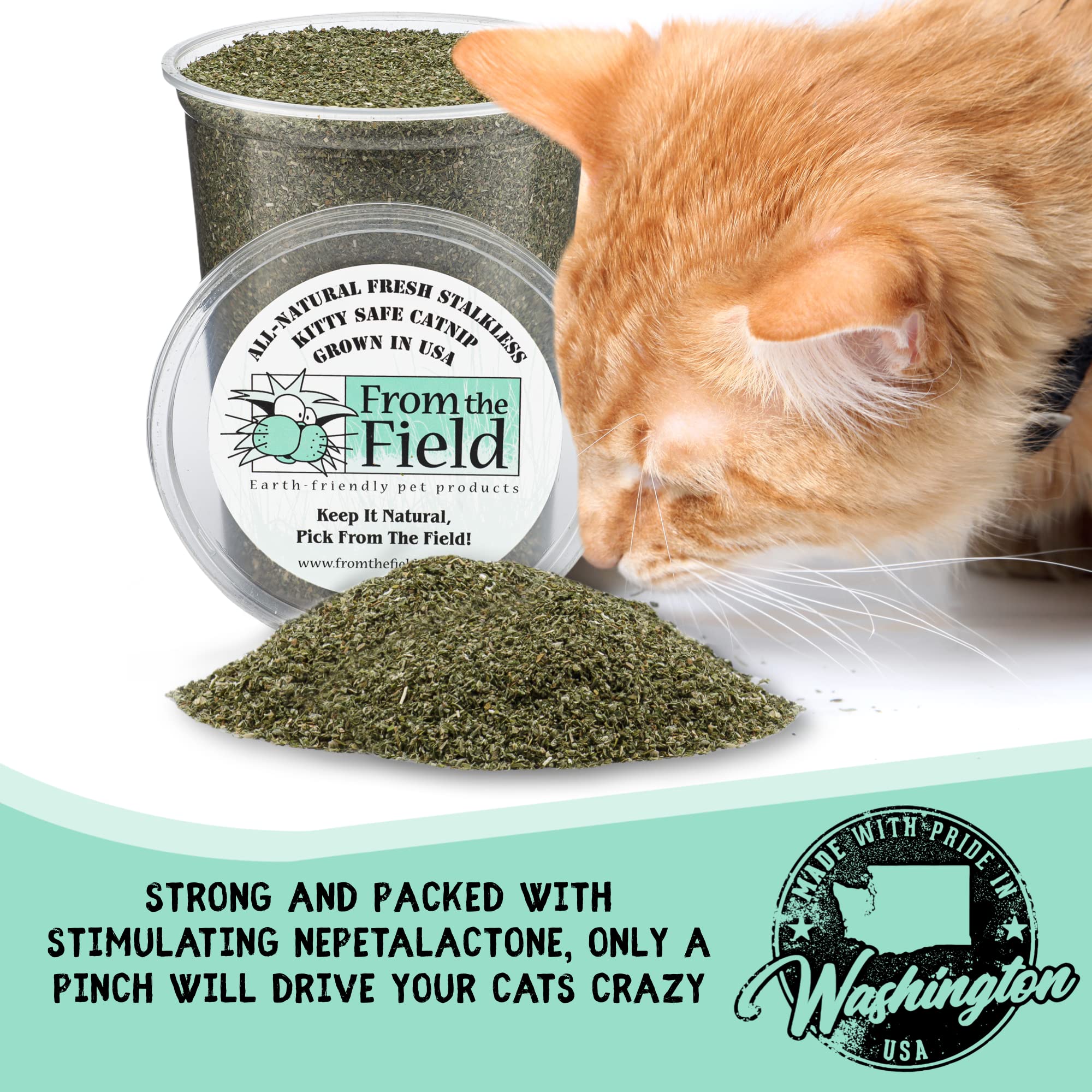 From The Field Catnip rendimiento en juguetes para gatos de todas las edades