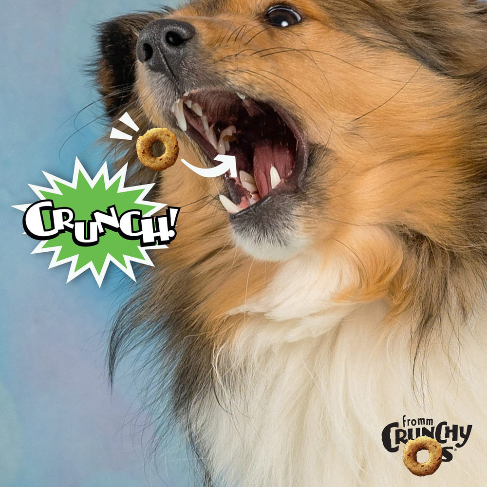 Fromm Crunchy Os Pumpkin Kran Pow: snack de pavo para perros, sabor suave.