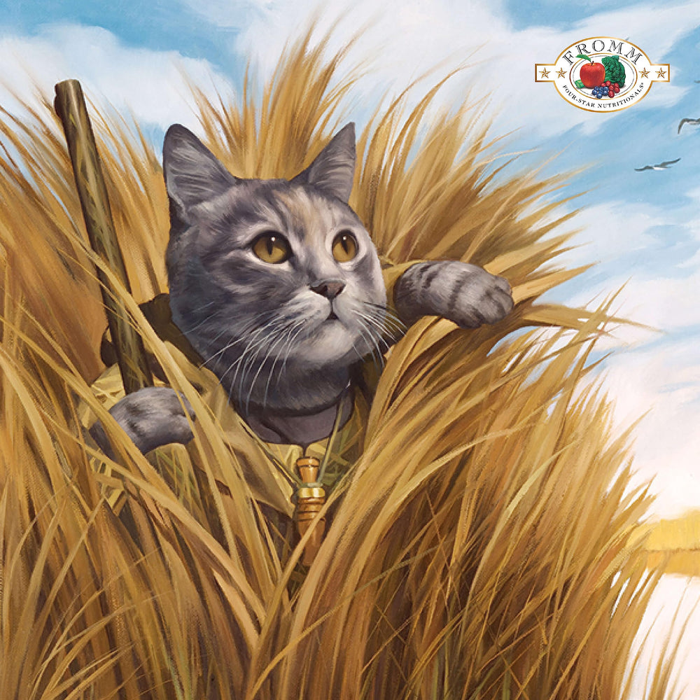 Fromm Four-Star Game Bird para gato con caldo de pavo, sabor y humedad.