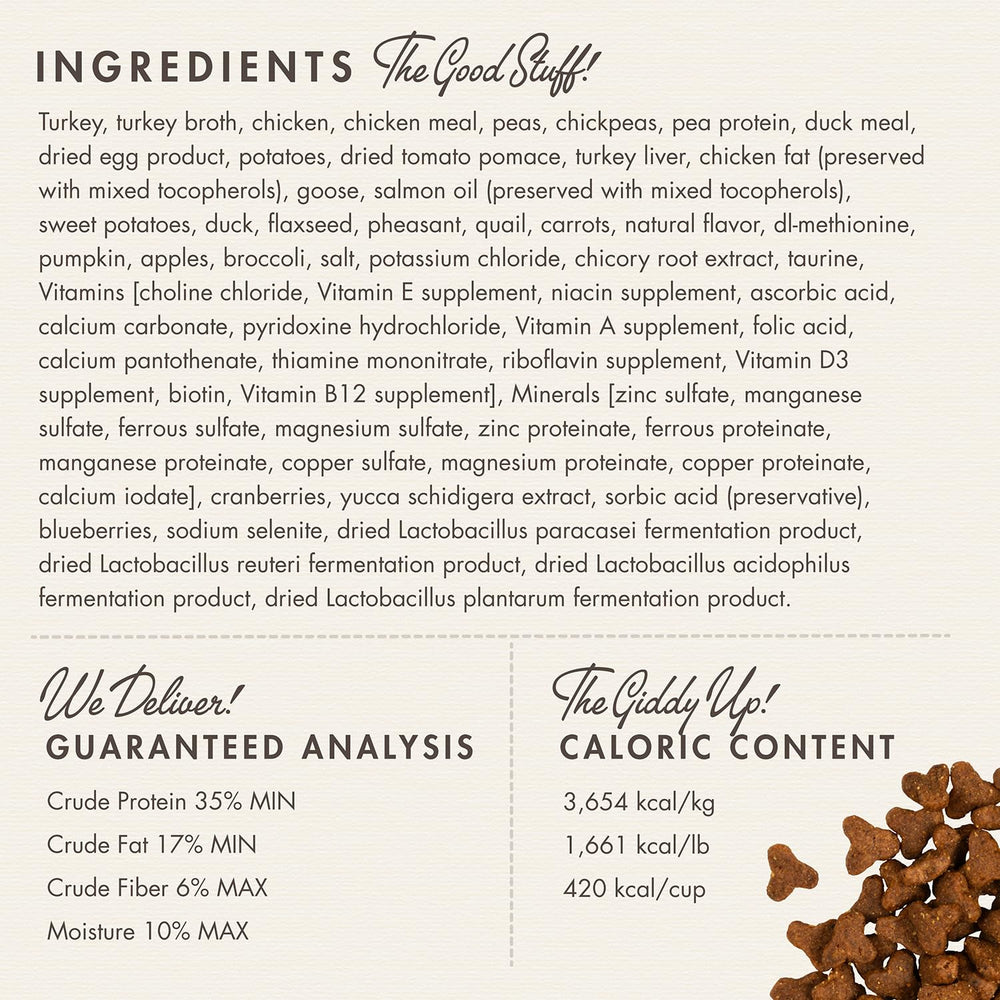 Fromm Four-Star Game Bird para gato con pato, ingrediente premium.