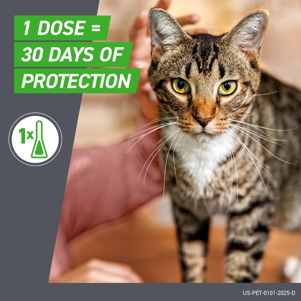 Frontline Plus Gatos: ingredientes activos fipronil y (S)-metoprina para mayor eficacia.