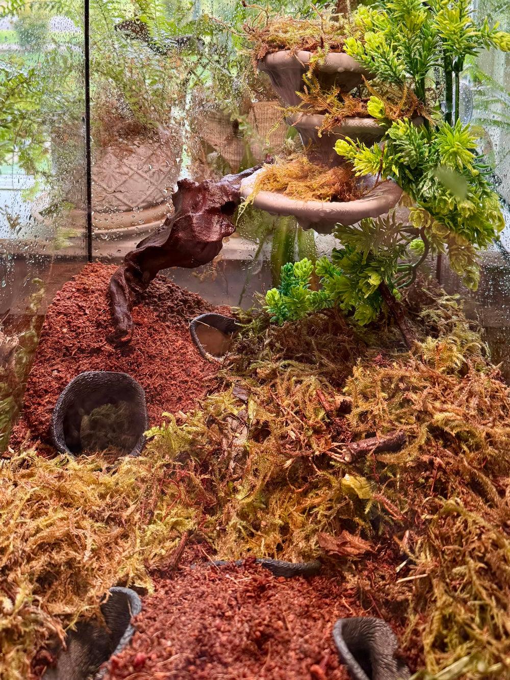 FROSTO diseno natural terrario: embellece el hábitat con estilo forestal.