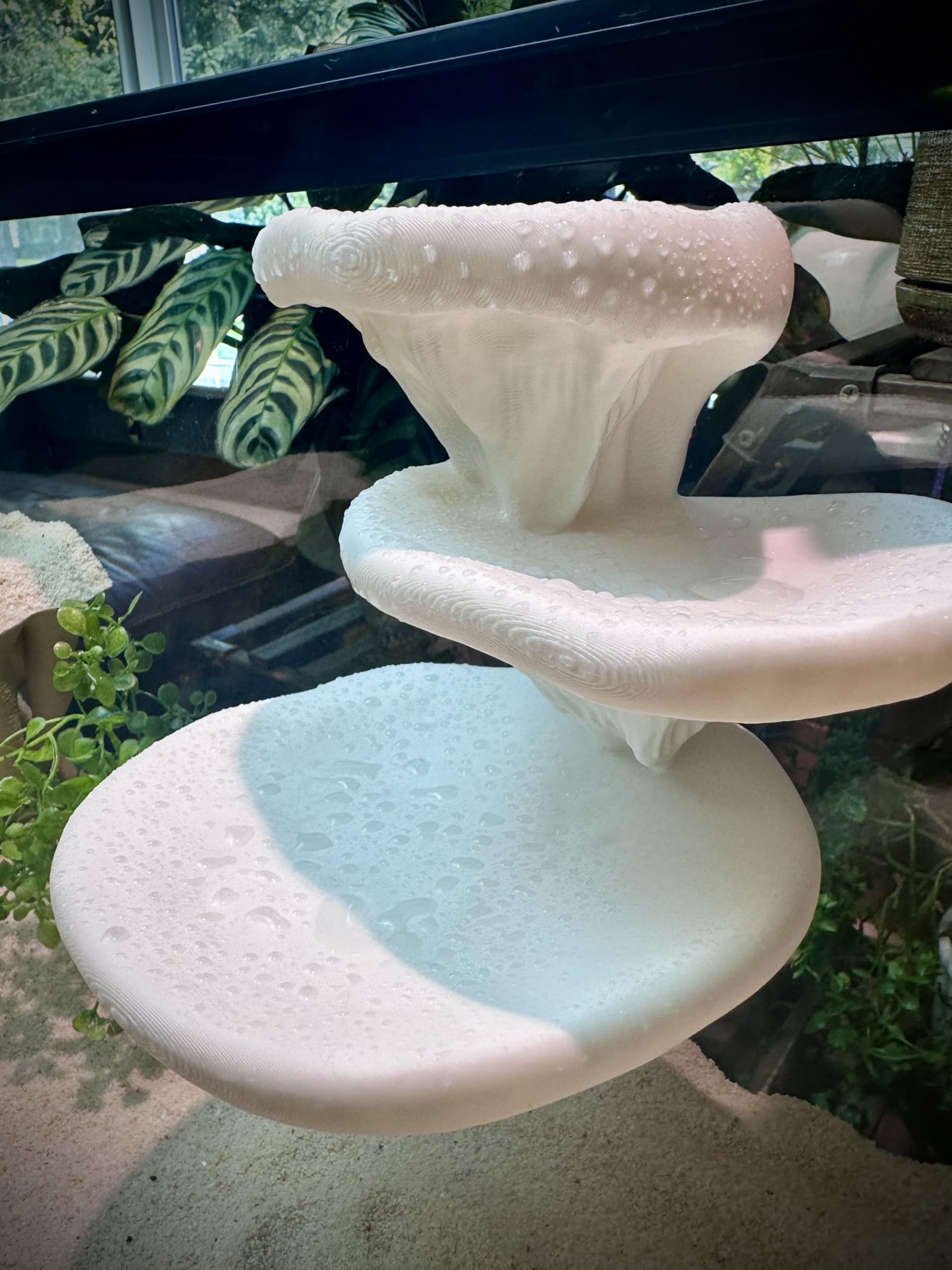 FROSTO ventosas fijacion terrario: montaje seguro y reversible sin herramientas.