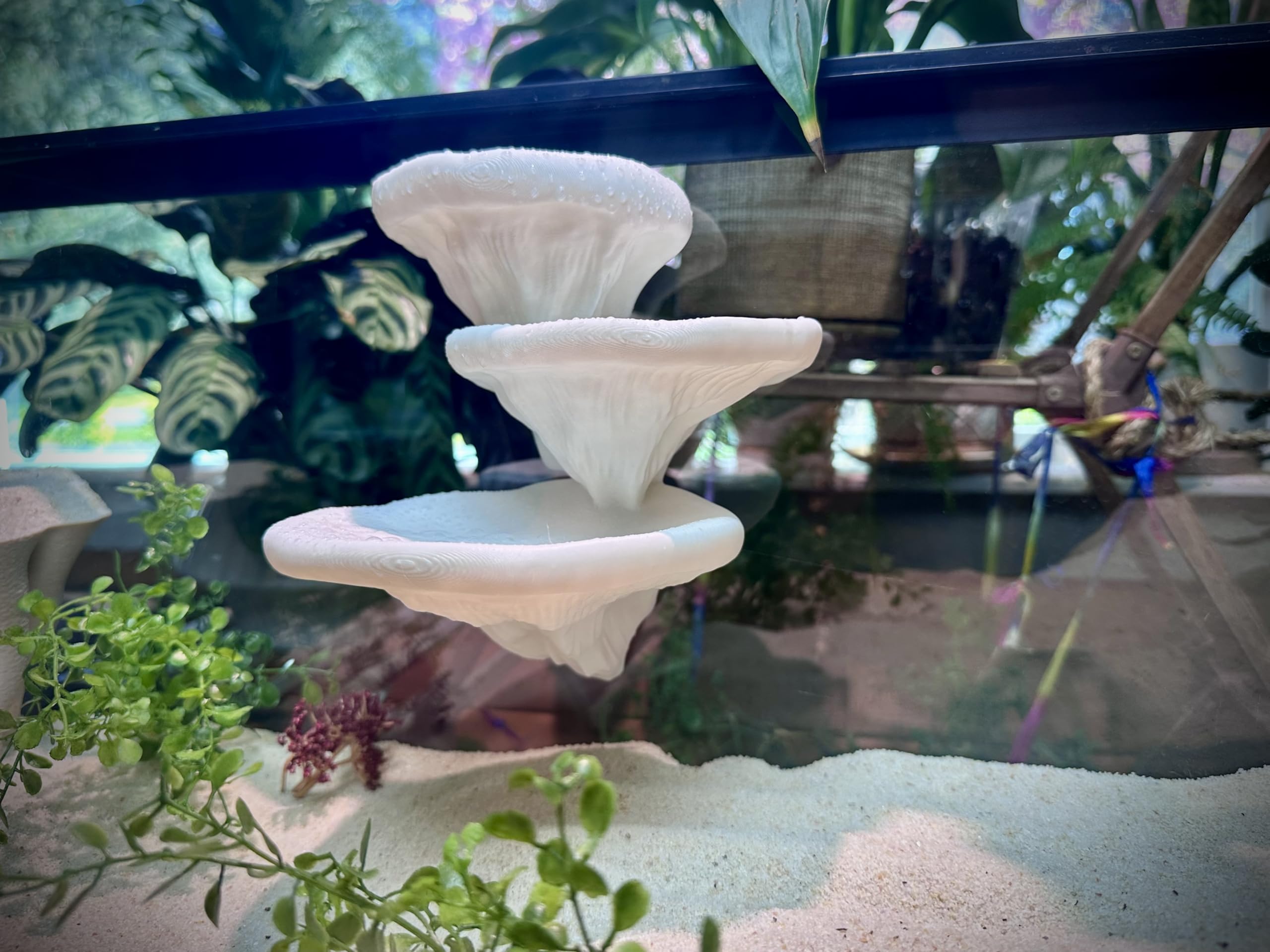 FROSTO zona escalada terrario: ideal para trepar y explorar.