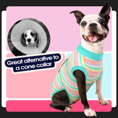 FUAMEY diseño practico, facil de colocar para perro.