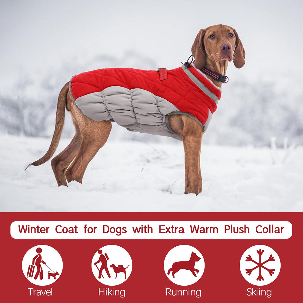FUAMEY tejido impermeable mantiene al perro seco ante lluvia o nieve.