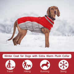 FUAMEY tejido impermeable mantiene al perro seco ante lluvia o nieve.