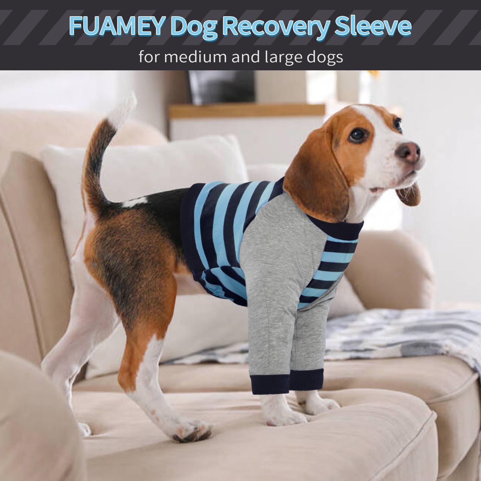FUAMEY uso exterior perro: protege la piel durante salidas al aire libre.