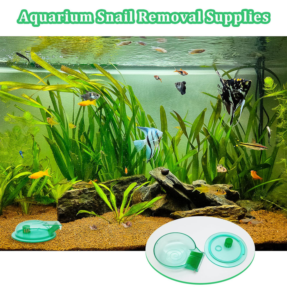 FUATY control de caracoles, ayuda a reducir residuos en el acuario.