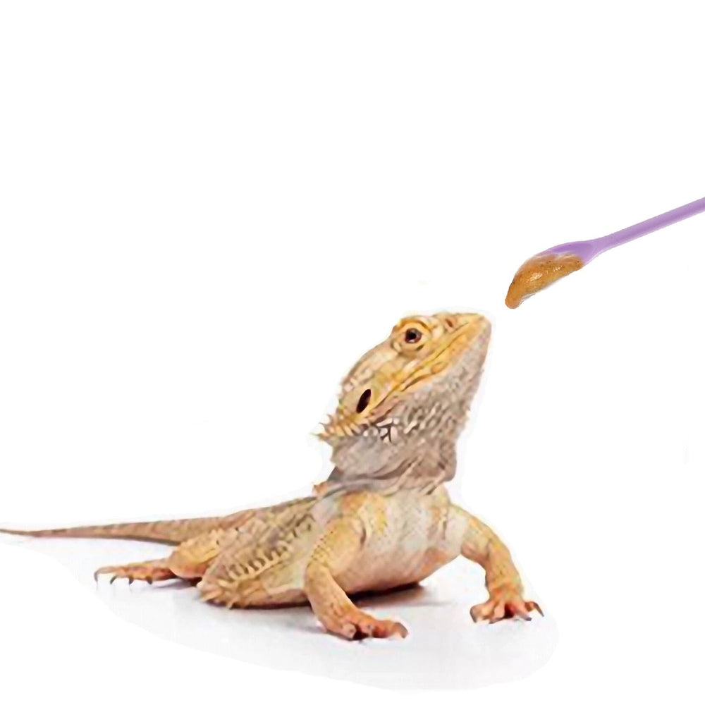 FUATY cuchara para reptiles para mezclar fruta y nutrientes de forma homogénea.
