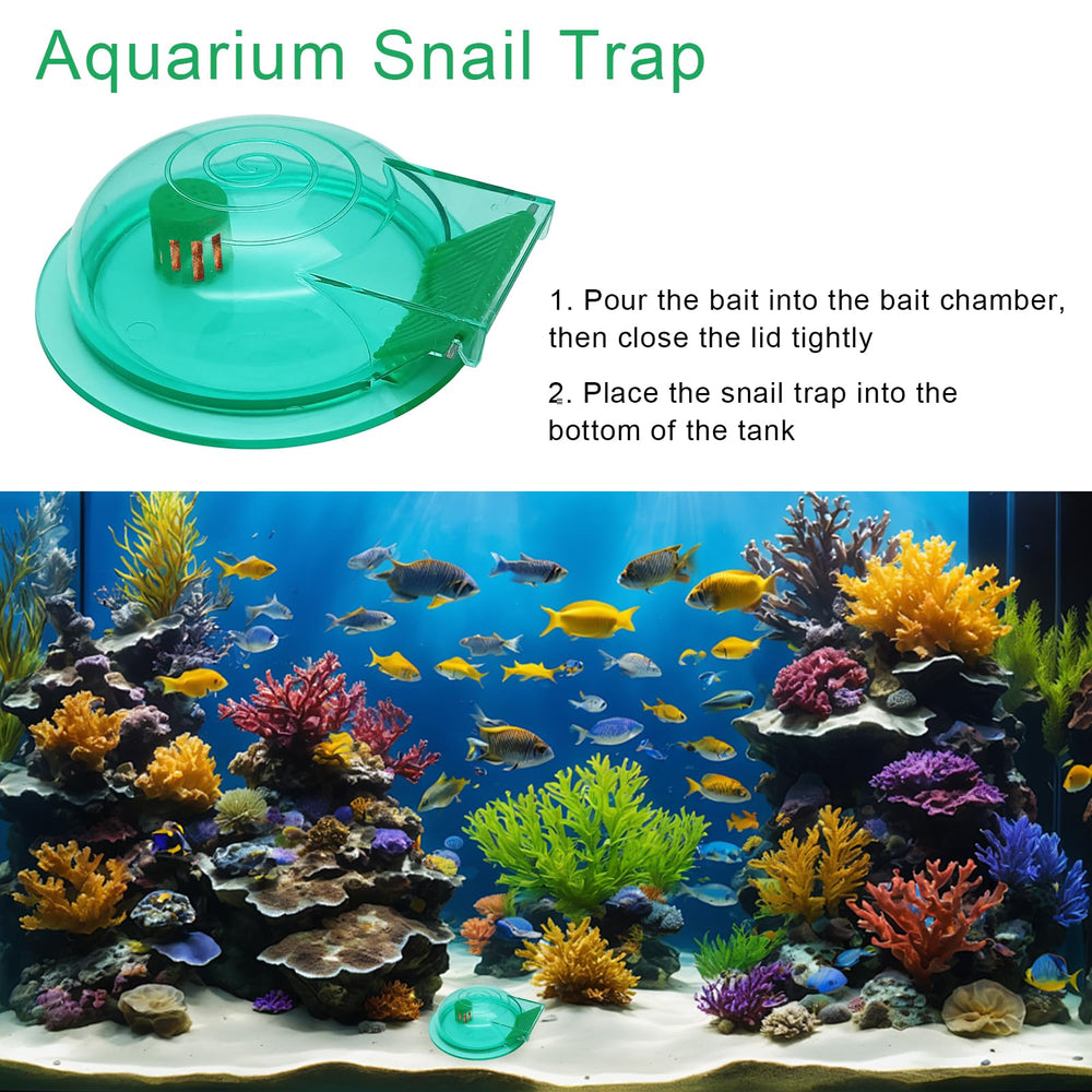 FUATY trampa de caracoles para agua dulce, ideal para acuarios pequeños.