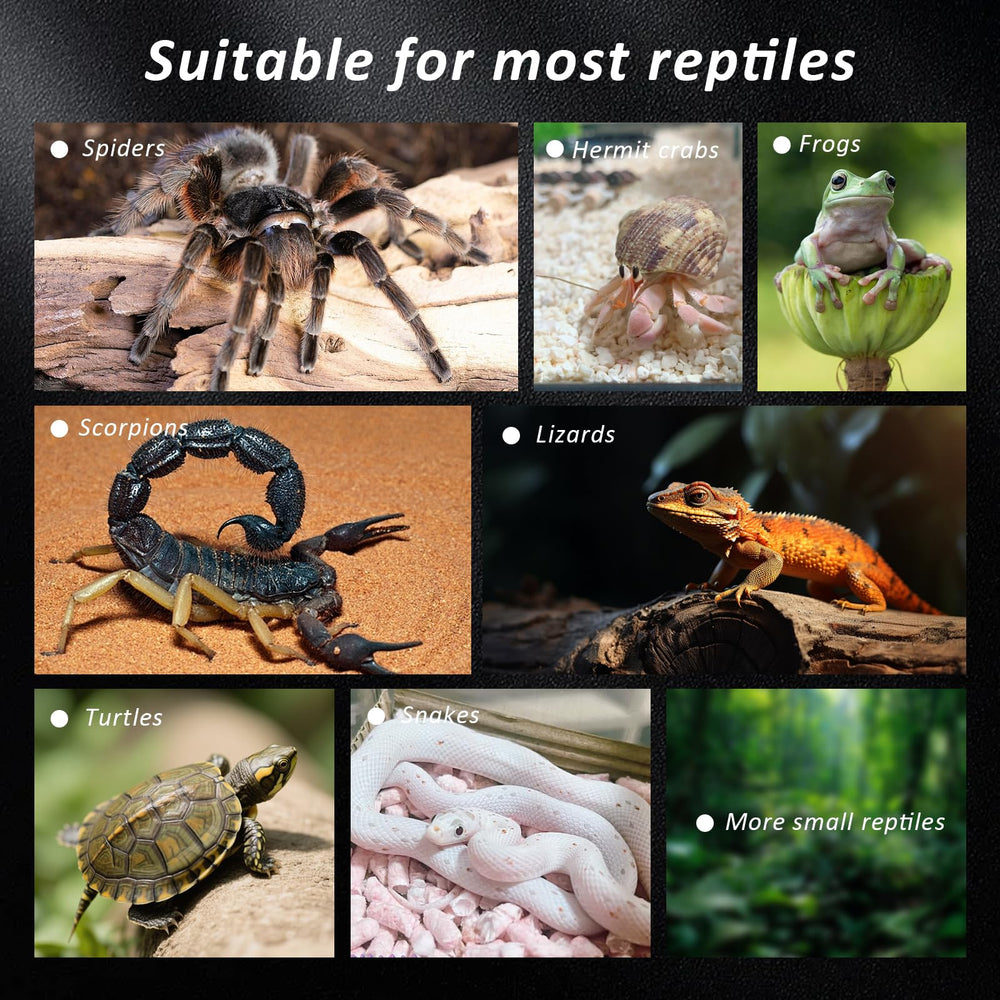 FUATY uso-multi-especies-tarantula-reptiles-pequenos: apto para tarántulas, arañas y otros insectos pequeños.