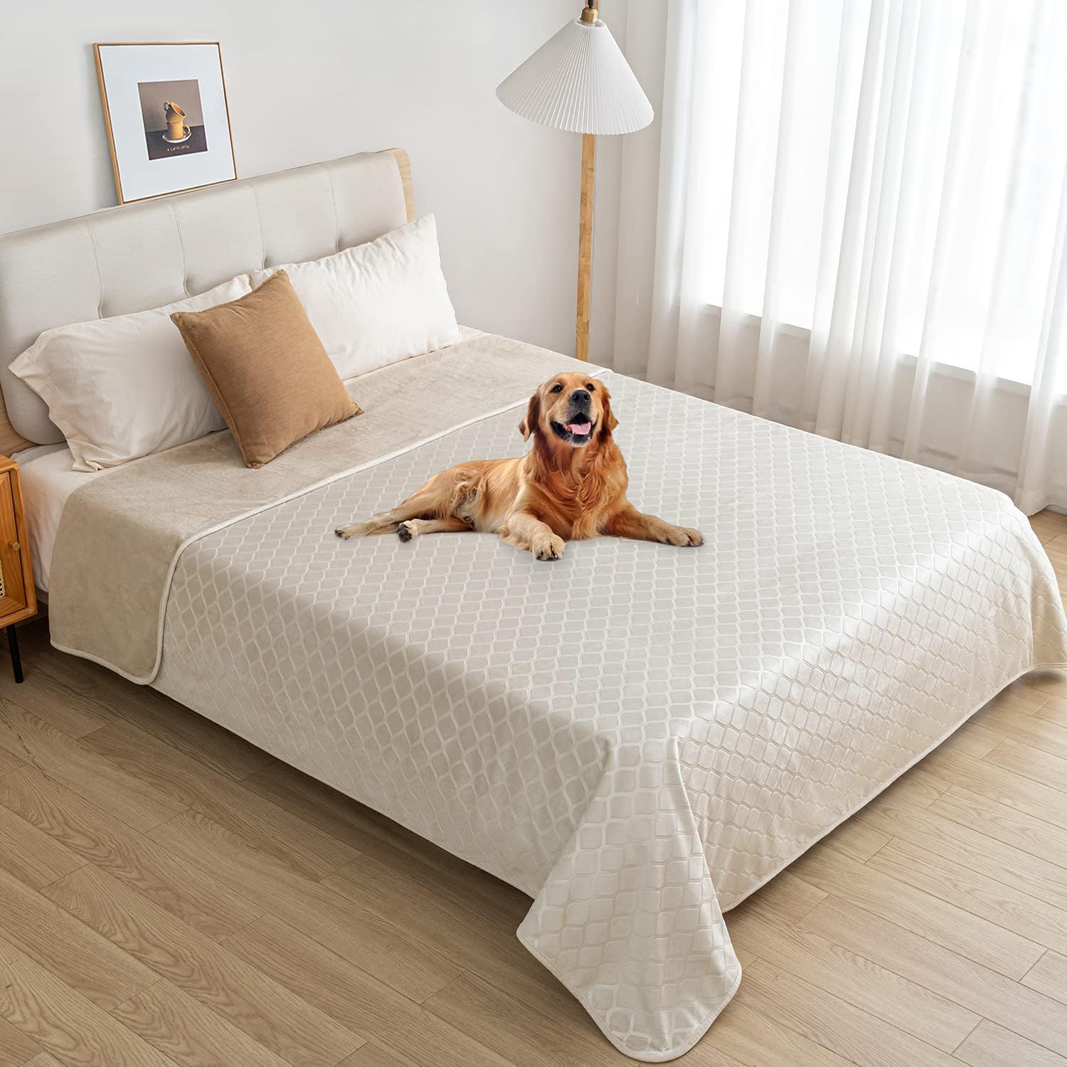 Confort Fuguitex: peluche douce pour des moments de repos confortables.