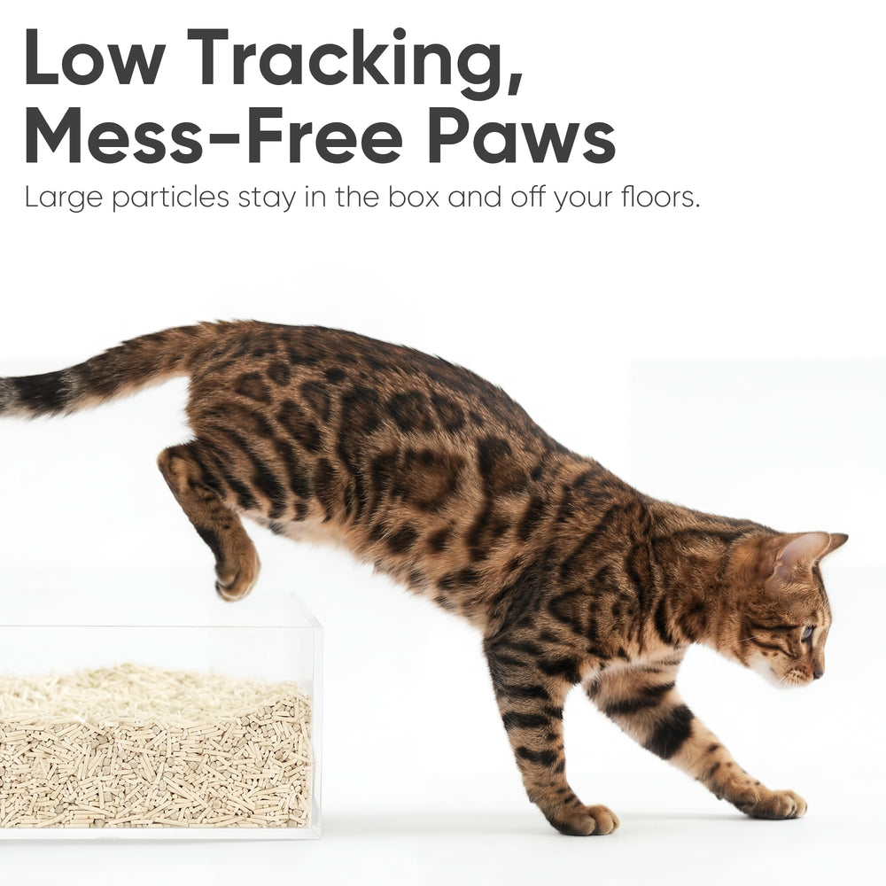 FUKUMARU Tofu Cat Litter sin fragancia, opción para gatos sensibles.