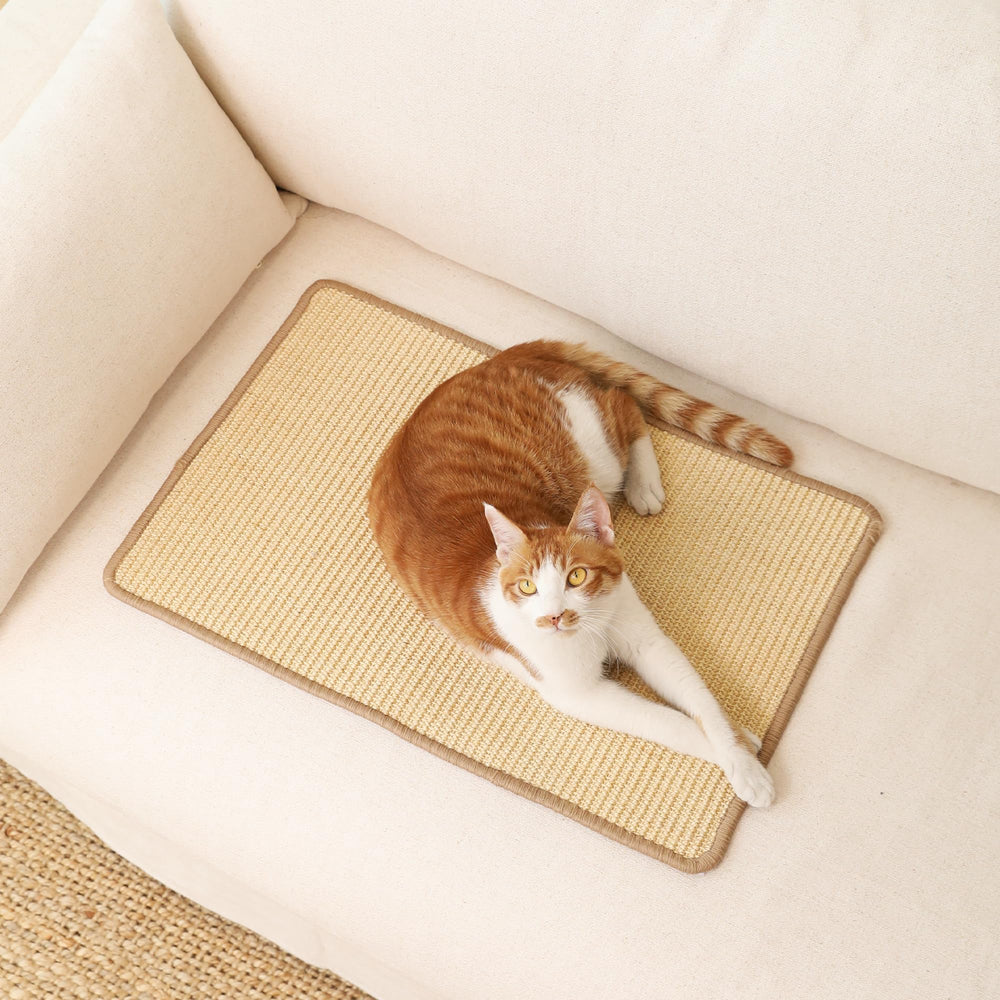 FUKUMARU conjunto de dos esteras para diversión y descanso felino.