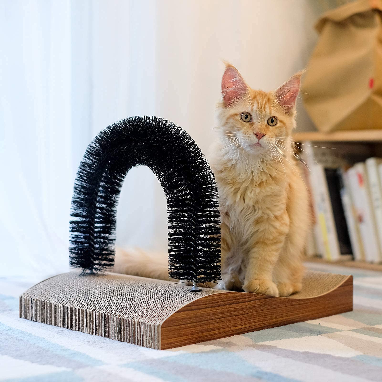 Gato FUKUMARU, uso-para-todas-las-edades ideal para gatitos y gatos