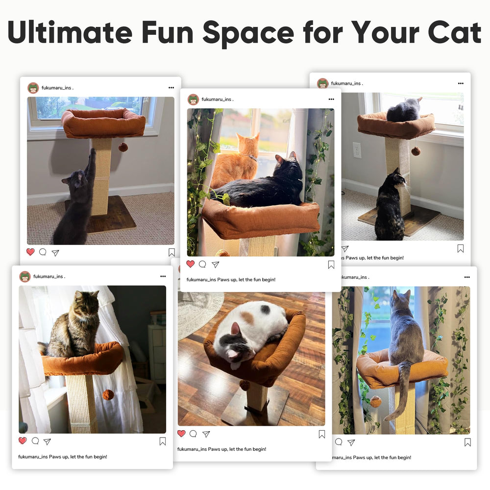 Rascador alto ideal para gatos grandes y adultos