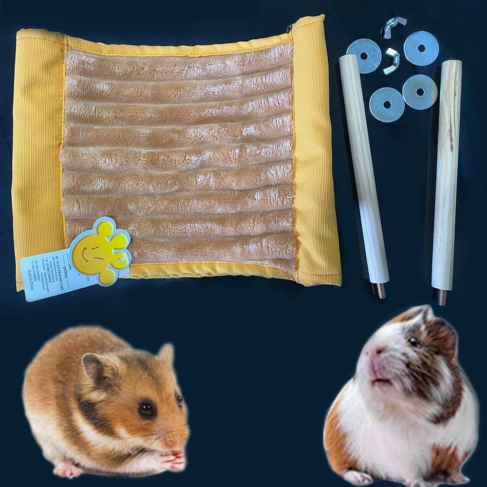 La mascota explora y trepa hacia la hamaca FunMove