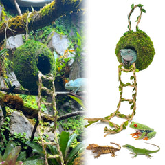 Funtinshdy cueva de musgo colgante ofrece refugio cómodo para geckos arbóreos.