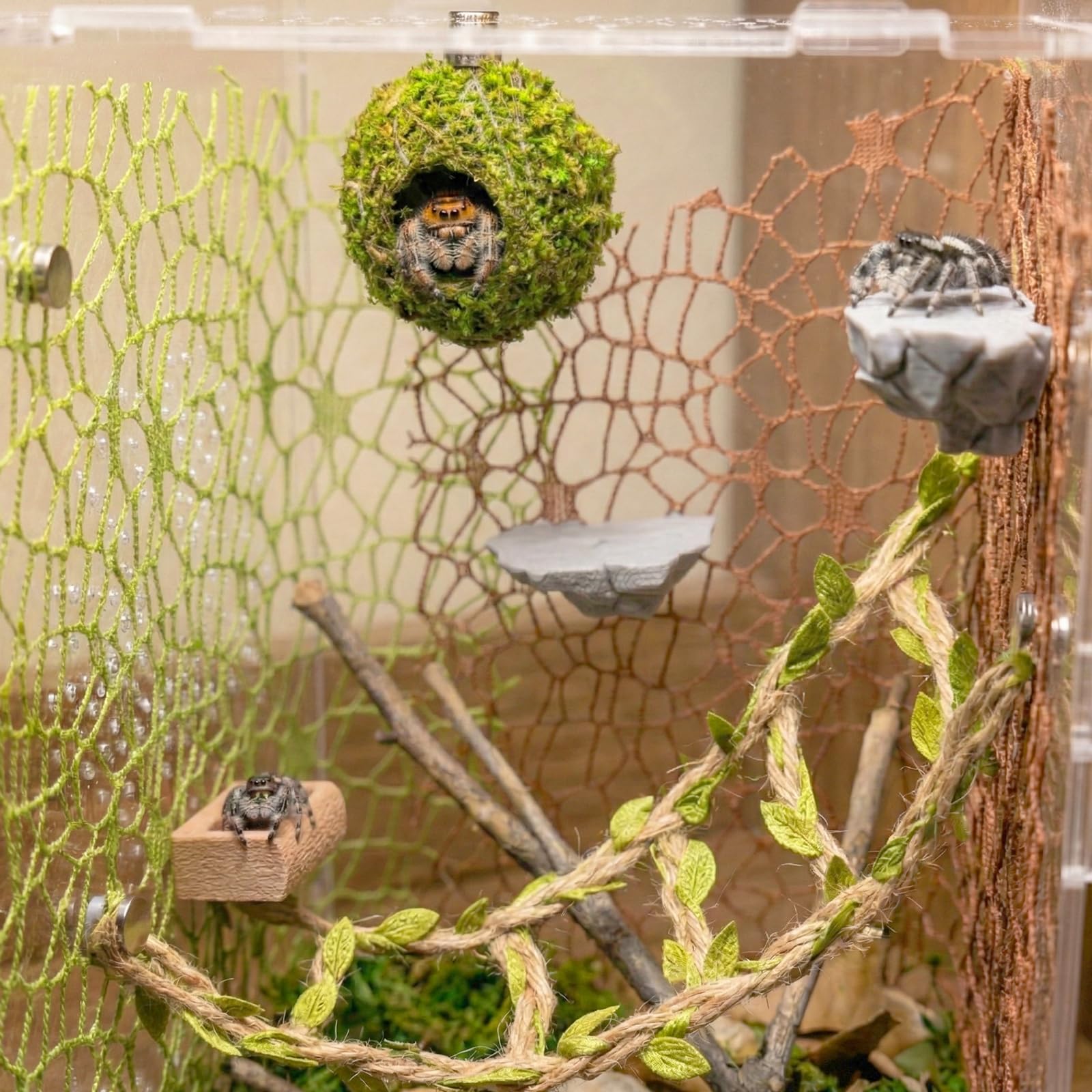 Funtinshdy cuenco de alimentación: recipiente estable para insectos.