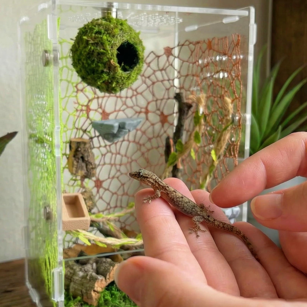 Funtinshdy ideas de distribución: opciones rápidas para decorar y reorganizar.