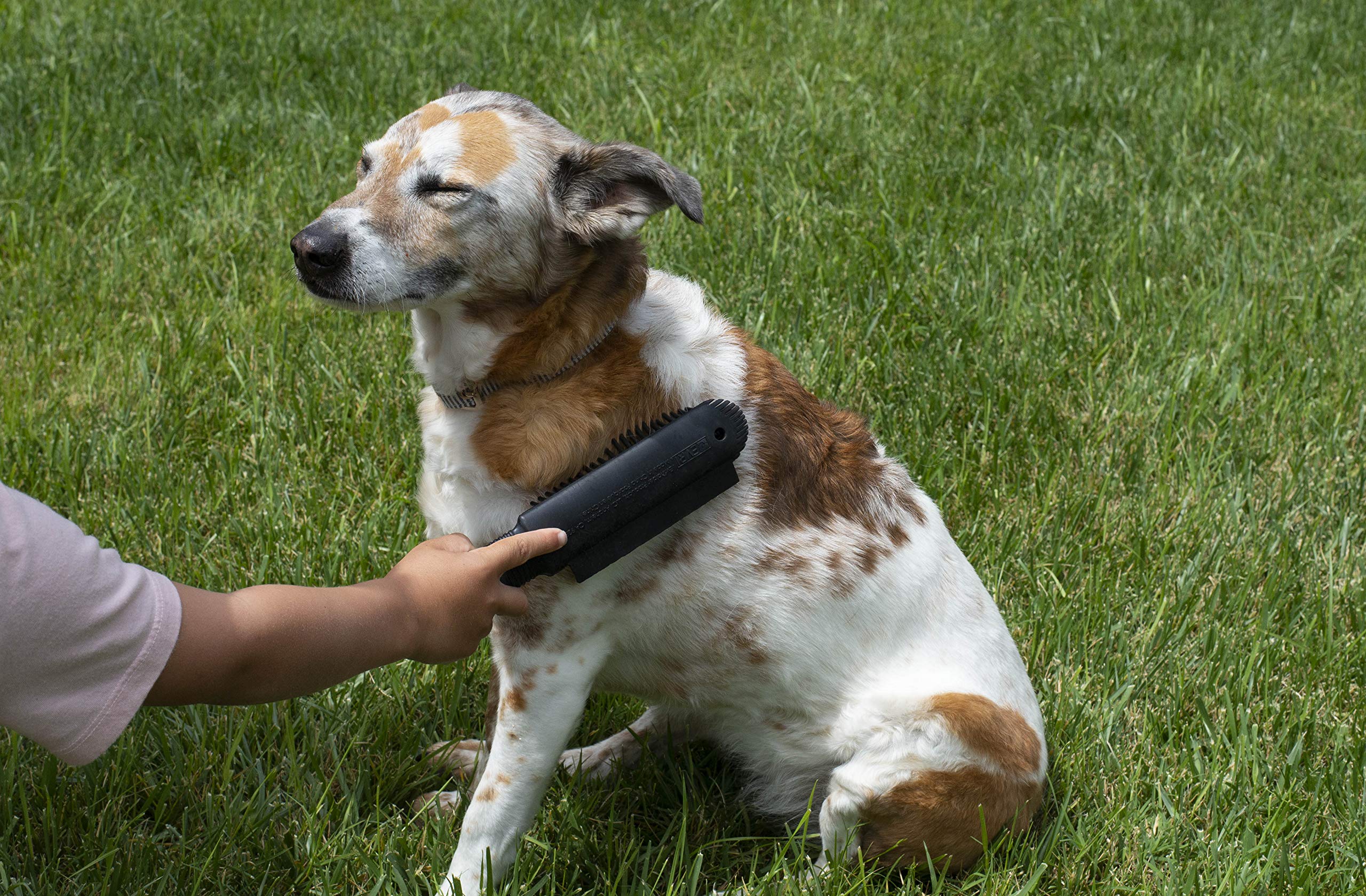 FURemover Plus cepillo suave para mascotas durante el cepillado