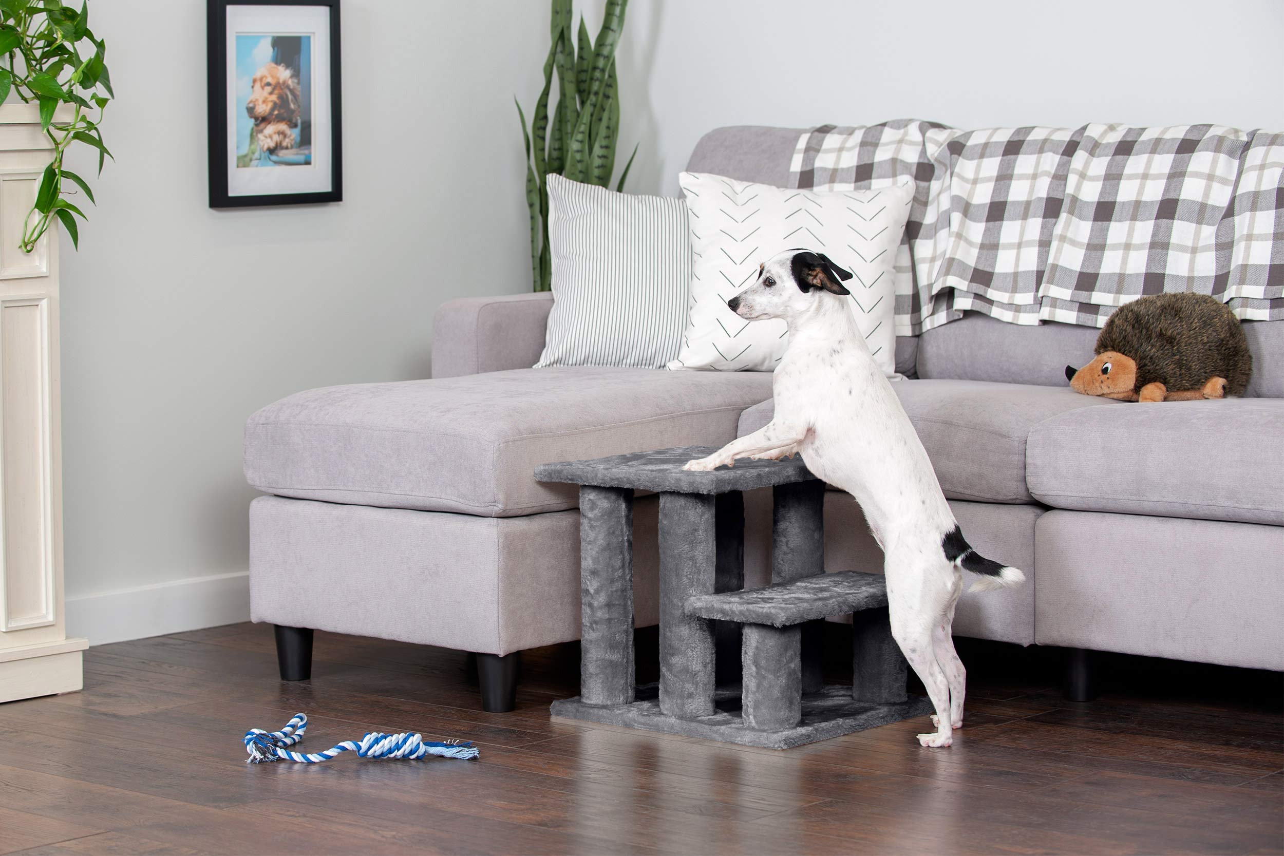 Furhaven Steady Paws: acceso cómodo y gradual para mascotas mayores.