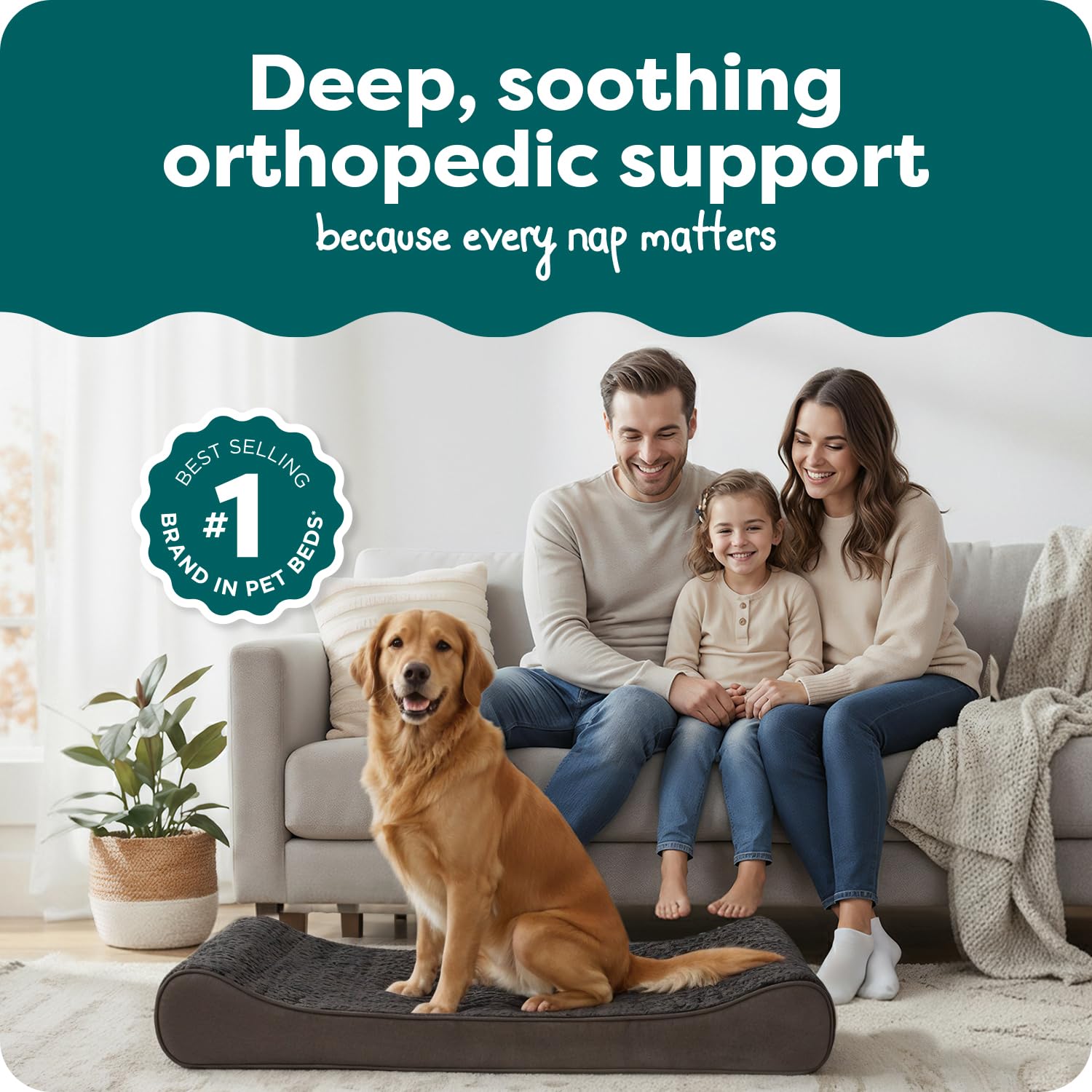Espuma ortopédica de alta densidad FurHaven ofrece soporte duradero para articulaciones.